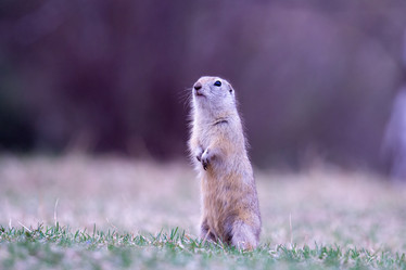 Similar image 21362324