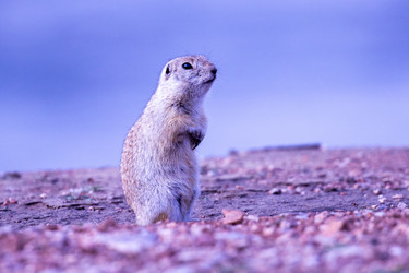 Similar image 21362325