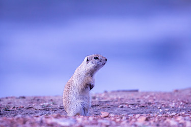 Similar image 21362327