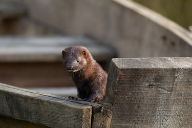 Similar image 21362328