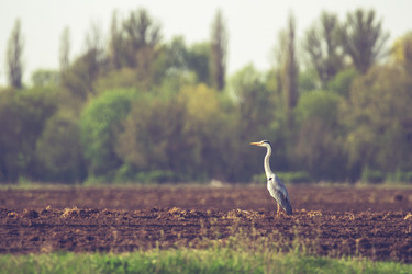 Similar image 21362329