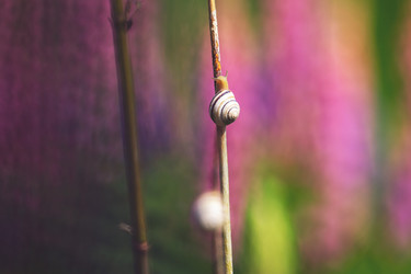 Similar image 21362330