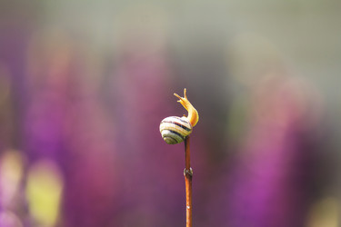 Similar image 21362331