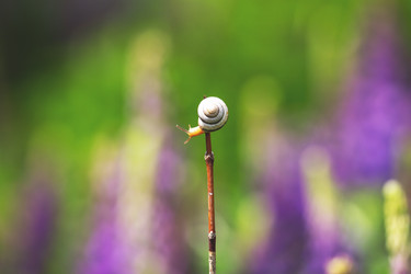 Similar image 21362332