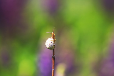 Similar image 21362333