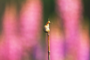 Similar image 21362334