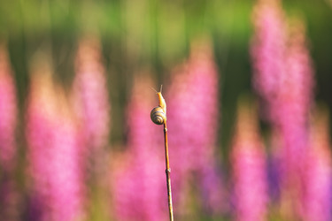 Similar image 21362335