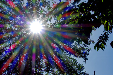 Similar image 21360908