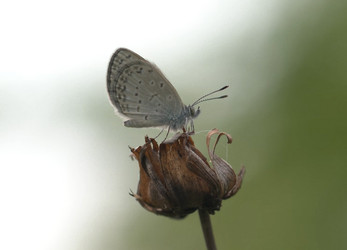 Similar image 21368890