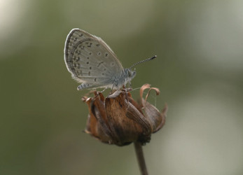 Similar image 21368891