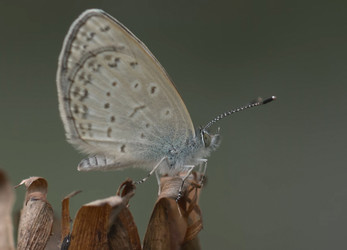 Similar image 21368892