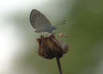 Similar image 21368893