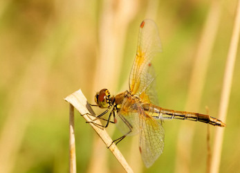 Similar image 21368894