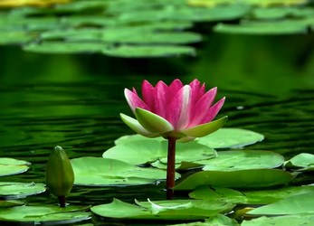 Similar image 21375575