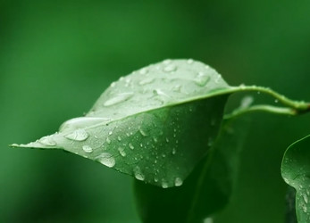 Similar image 21375578