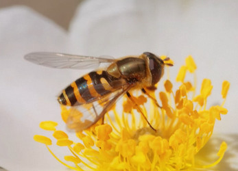 Similar image 21368895