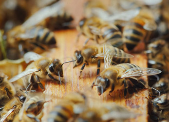 Similar image 21368896