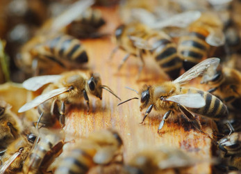 Similar image 21368897