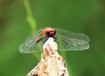 Similar image 21368898