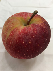 Similar image 21360581