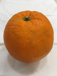 Similar image 21360583