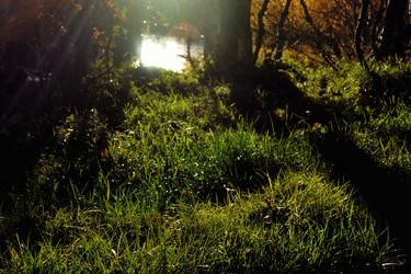 Similar image 21360537