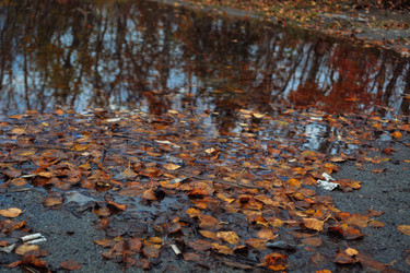 Similar image 21360538