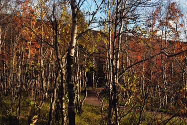 Similar image 21360539