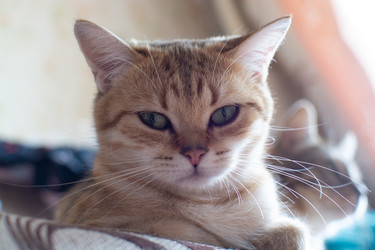 Similar image 21370488