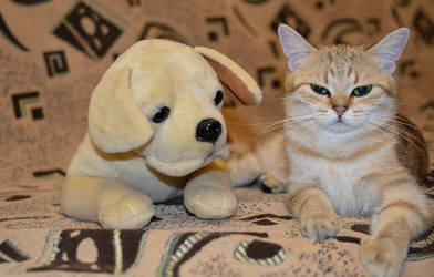 Similar image 21370733