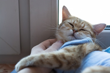 Similar image 21368787