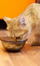 Similar image 21370490