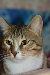 Similar image 21370491