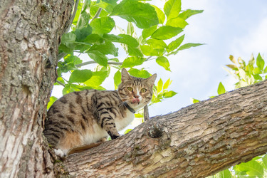 Similar image 21368790