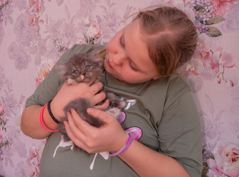 Similar image 21368791