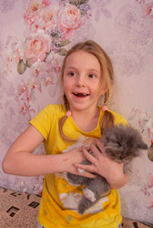 Similar image 21368792