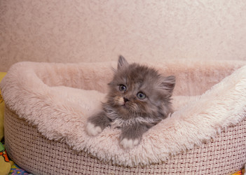 Similar image 21368793