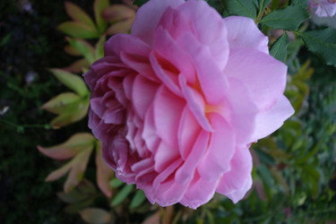 Similar image 21368899