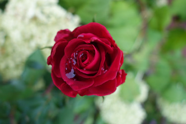 Similar image 21368900