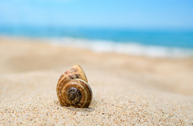 Similar image 21359950