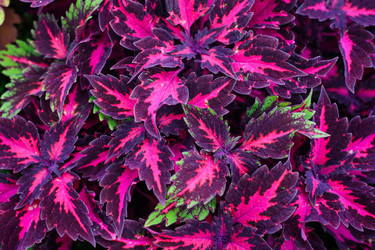 Similar image 21360520