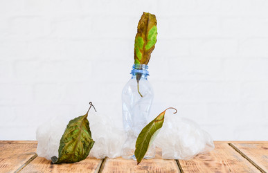 Similar image 21359953