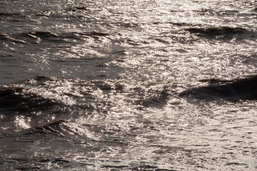 Similar image 21359954