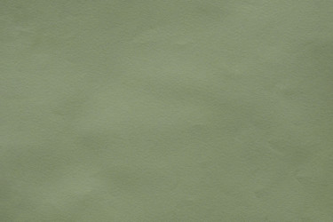 Similar image 21359955