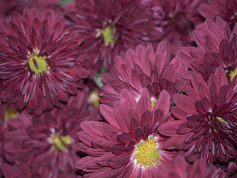 Similar image 21359963