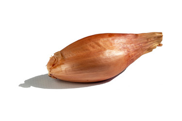 Similar image 21359964