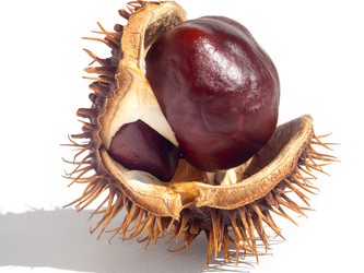 Similar image 21359965