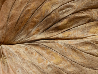 Similar image 21359969