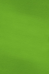 Similar image 21359970