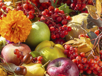 Similar image 21359972